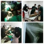 بیمارستان دامپزشکی دانشگاه لرستان