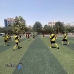 زمین چمن مصنوعی انصار