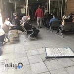 رادیولوژی و سونوگرافی شفا