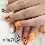 کاشت ناخن کمند