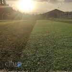 زمین فوتبال خانه جوان