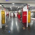 باشگاه ورزشی اکبر علیزاده akbaralizadeh gym