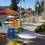 اغذیه گل یخ