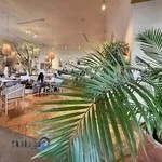 کافه رستوران آولی