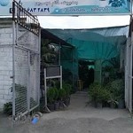 گلخانه بهشت