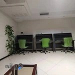 انستیتو سئوف