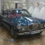 مزون کاملیا