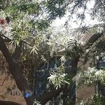 آموزشگاه آزادهنری پویش