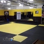 باشگاه تایگر