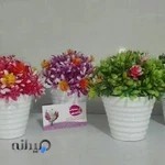 فروشگاه گل قاسمی