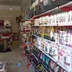 پت شاپ کاکادو