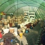 گل و گیاه یادگار