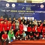 فروشگاه رزمی آریا اسپرت