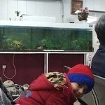 کلینیک تخصصی دندانپزشکی سیدالشهدا