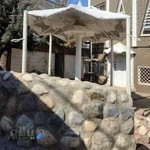 کلینیک دامپزشکی ویان