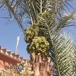 موزه مردم شناسی جوی آباد قدیم