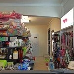 پت شاپ پالس