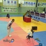 هیأت تکواندو استان البرز
