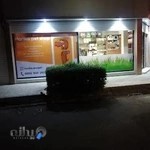 پت شاپ هاریکا