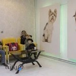 کلینیک دامپزشکی مژده