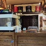 کافه صبحانه فریدون