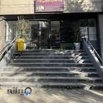 پت شاپو گرومینگ