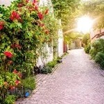 مطب دکتر مهناز استکی