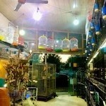 فروشگاه پرنده و حیوانات خانگی پرنین