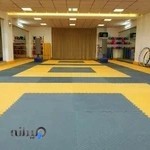 باشگاه ورزشی ماه و خورشید VIP