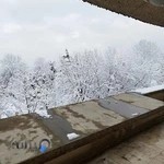 تالار صدف نیروی دریایی