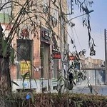 غذای ایرانی موژان