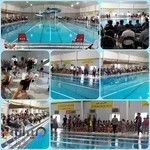 استخر و سونای لاله