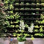 دکتر پرهام و‌ پارمیس یوسفی زاده