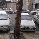 سازمان نظام پزشکی نیشابور