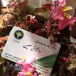 دفتر مشاوره وخدمات روانشناختی معین