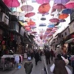 تولیدی پوشاک بچه گانه مک کوئین