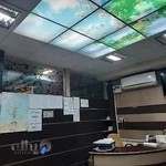 دکتر حمید مصطفوی