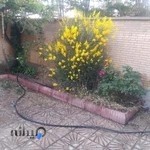 مجموعه ورزشی فرهنگی تفریحی الوند