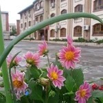 مرکز آموزشی شهید بهشتی (تیزهوشان) گرگان