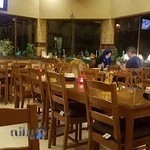 باغ زیتون