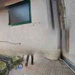 کانون زبان ایران