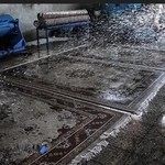 قالیشویی گلها