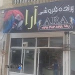 پرنده فروشی ارا