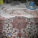 قالی شویی سید