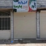 گل و گیاه پارسا