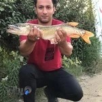 تابلوسازی امین