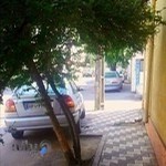 موسسه آموزش زبان کیش واحد خواهران
