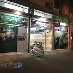 گیم‌نت پاکیزه