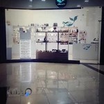 گالری دریای آبی