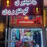 رایان فیشینگ